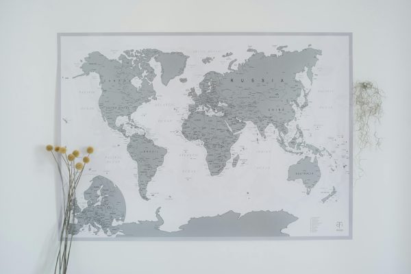 A minimalist wall decor featuring a gray world map with dried craspedia flowers.